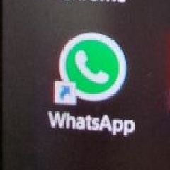  WhatsApp  